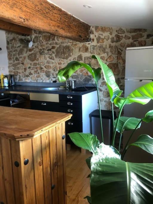Le Loft Cosy - Centre Ville - Cadre Royal Sète Eksteriør billede