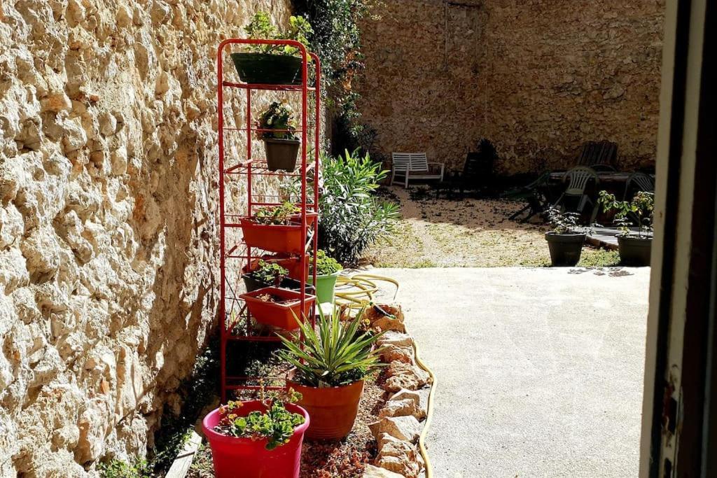 Le Loft Cosy - Centre Ville - Cadre Royal Sète Eksteriør billede